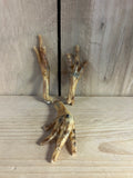 Chicken Foot